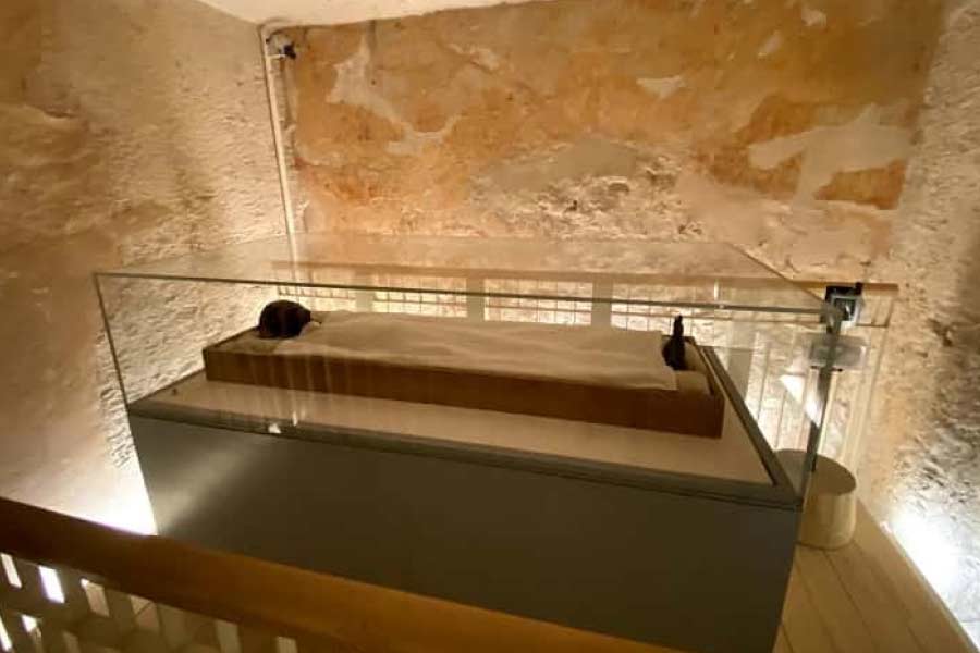 তুতানখামেনের মৃত্যু নিয়ে যেমন নানা গল্পকথা রয়েছে, তেমনই তাঁর তথাকথিত অভিশাপ নিয়েও বিভিন্ন রটনা শোনা যায়। নানা অলৌকিক ঘটনার কাহিনিও এই সুবাদে বাজারে চলে।