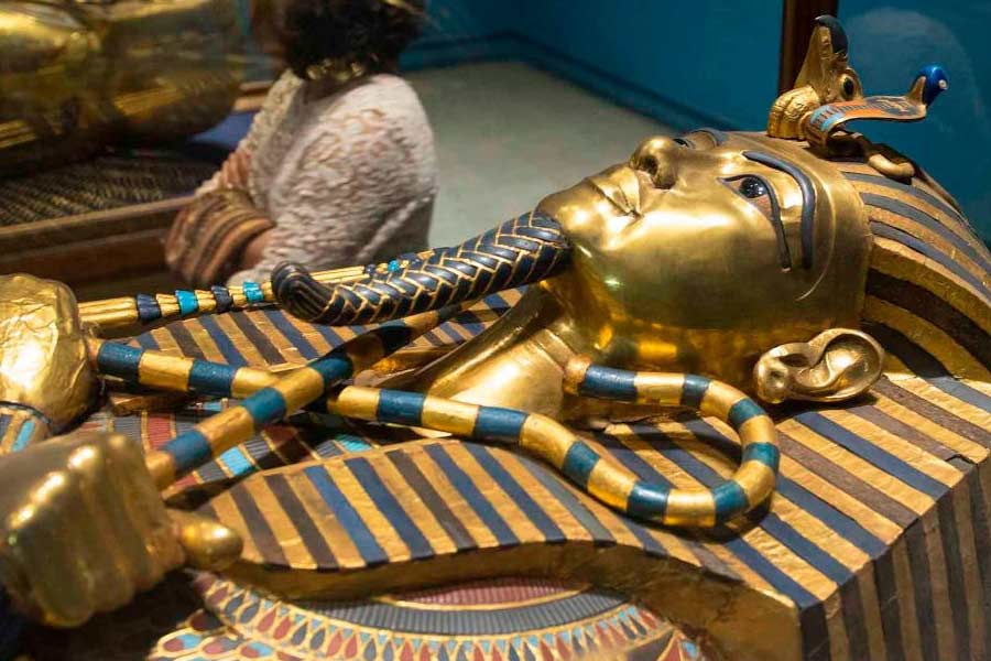  শোনা যায়, তুতানখামেনের ছিলেন প্রভাবশালী ফারাও চতুর্থ আমেনহোটেপ বা আখেনাটেনের পুত্র তথা জামাই। আখেননাতেনের অন্যতমা স্ত্রী ছিলেন সুন্দরী নেফারতিতি। তাঁদের পুত্রসন্তান ছিল না। শুধু মাত্র সাত কন্যা ছিল। তাঁদেরই এক কন্যার সঙ্গে তুতানখামেনের বিয়ে হয়। তবে তুতেনখামেনের পিতা ঠিক কে, তা আজও জানা যায় না।