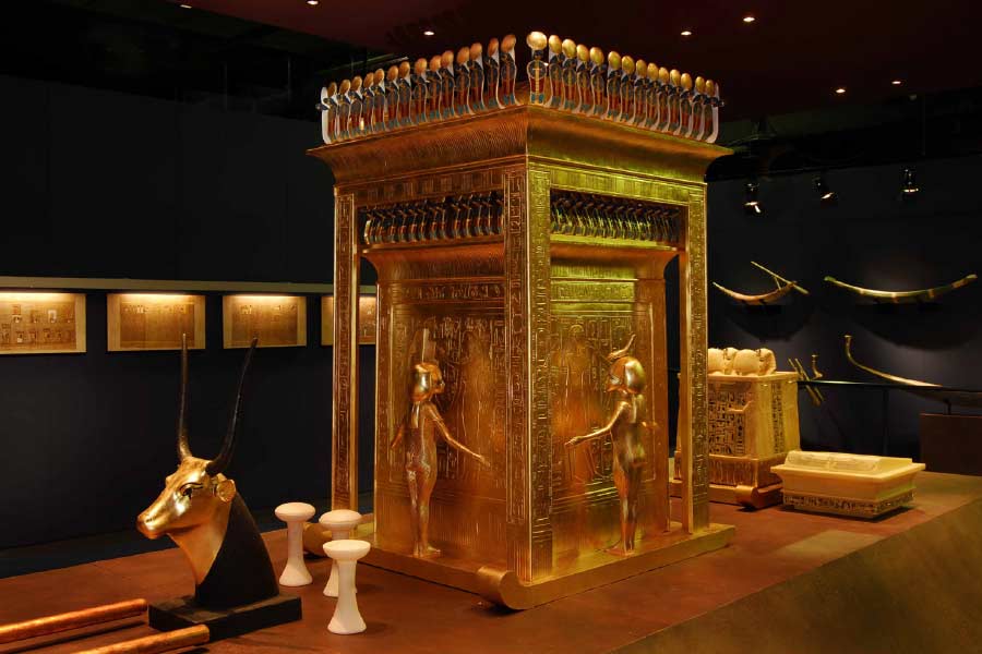  তুতানখামেনের বাবা ও মা ভাইবোন ছিলেন। বাবা ও মায়ের দেখানো পথ অনুসরণ করেছিলেন তুতানখামেনও। সৎবোন আনেখসেনামুনকেই বিয়ে করেছিলেন তিনি। সেটাই ছিল সেই সময়কার মিশরীয় রাজবংশের রীতি।