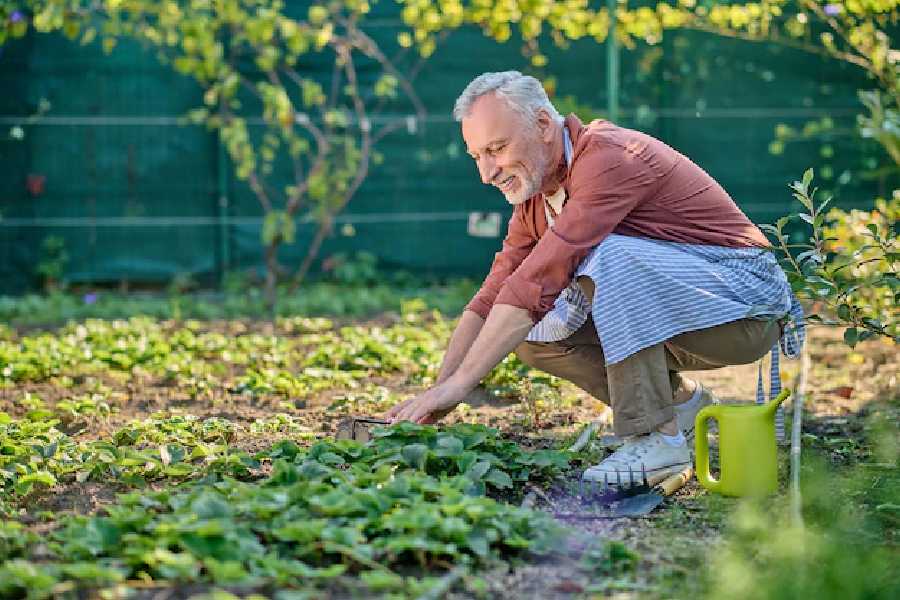 বাগান করা, গাড়ি ধোয়াও কিন্তু শরীরচর্চার মধ্যেই পড়ে।