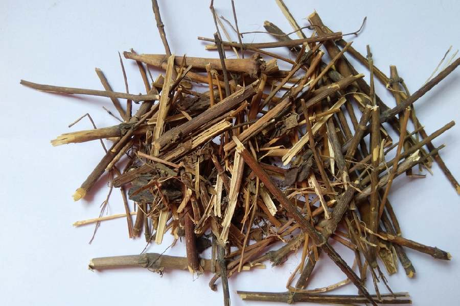 অ্যাসিডটির সমস্যায় নাজেহাল? রোজ সকালে খালি পেটে চিরতার জল খান। 