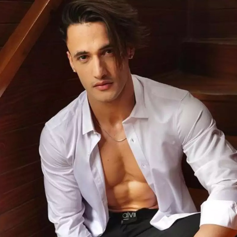 ‘বিগ্‌ বস’-এর ১৩তম মরসুমে অনেকেরই নজর কেড়েছিলেন কাশ্মীরের ২৯ বছর বয়সি মডেল অসীম রিয়াজ়। সলমন খানের সেই রিয়্যালিটি শোয়ের পর রিয়াজ়ের জনপ্রিয়তার পারদ চড়তে থাকে। ‘জিনে দো’-র মতো র‌্যাপ গানের জগতে নিজেকে মেলে ধরেন রিয়াজ়। ‘আওয়াজ়’, ‘অব কিসে বরবাদ করোগে’, ‘নাইটস অ্যান ফাইটস’-এর মতো হিট গানও দিয়েছিলেন তিনি।