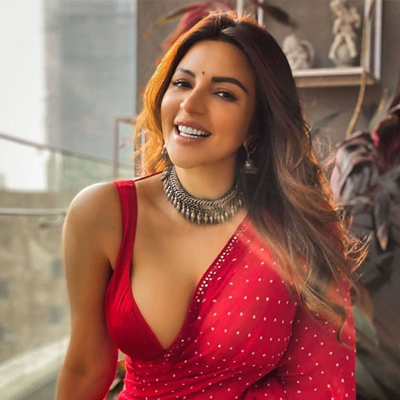 টেলিভিশনের পর্দায় ‘ইয়ে মেরি লাইফ হ্যায়’ সিরিজ়ে মুখ্য ভূমিকায় ছিলেন শমা সিকান্দর। বছর দুয়েক ধরে দর্শক মাতানোর পর খান আটেক সিরিজ়ও করেন। এর উপরে ‘বুগি উগি’-সহ ৪টি রিয়্যালিটি শোয়েও দেখা গিয়েছিল তাঁকে। যদিও এ সবের আগে ১৯৯৮ সালে ফারদিন খানের প্রথম ছবি ‘প্রেম অগন’-এ অভিষেক করেছিলেন শমা। আমির খানের ‘মন’-ও তাঁকে বলিউডে শক্ত জমিতে দাঁড় করাতে পারেনি।