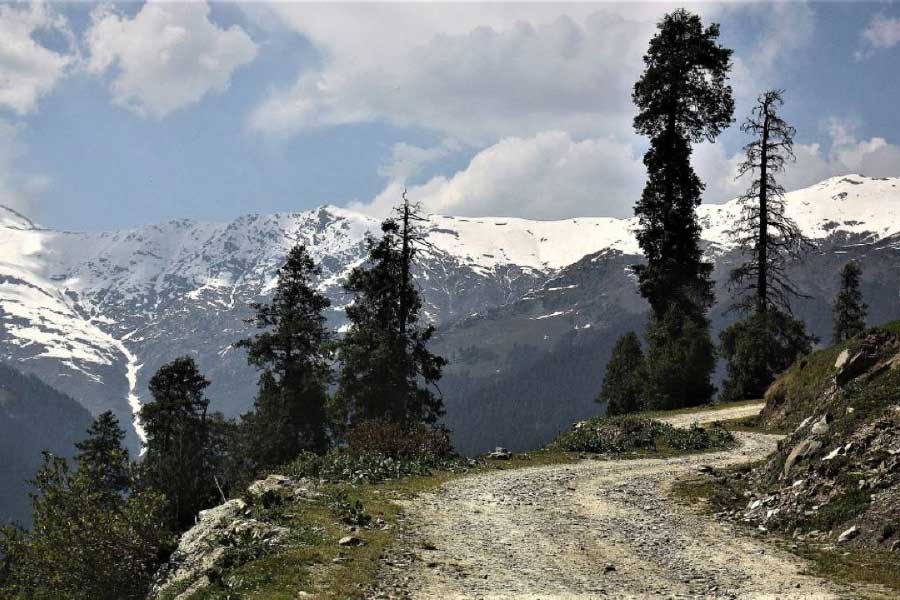 নৈসর্গিক দৃশ্যের টানে পর্যটকরা বার বার ছুটে যান হিমাচল প্রদেশে। শিমলা, মানালি, কুলু— এই শৈলশহরগুলি পর্যটকদের খুবই পছন্দের। হিমাচল প্রাকৃতিক দৃশ্য যেমন সুন্দর, তেমনই ভয়ঙ্কর। তবুও পর্যটকরা এই ভয়ঙ্কর সুন্দরের টানেই বার বার ছুটে যান হিমাচল প্রদেশে।