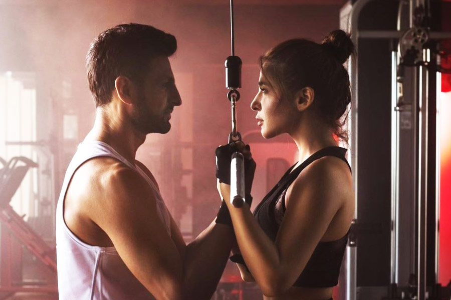 শুধু পুলের জলে দাঁড়িয়ে নয়, সংশ্লিষ্ট ম্যাগাজ়িনের জন্য আরও একাধিক ছবি তুলেছিলেন দুই পাক তারকা। কখনও তাঁদের দেখা গিয়েছিল শোয়ার ঘরে রোম্যান্টিক ভঙ্গিতে দাঁড়াতে, কখনও আবার খাবার টেবিলে দু’জনের খুনসুটি ধরা পড়েছিল ক্যামেরায়।