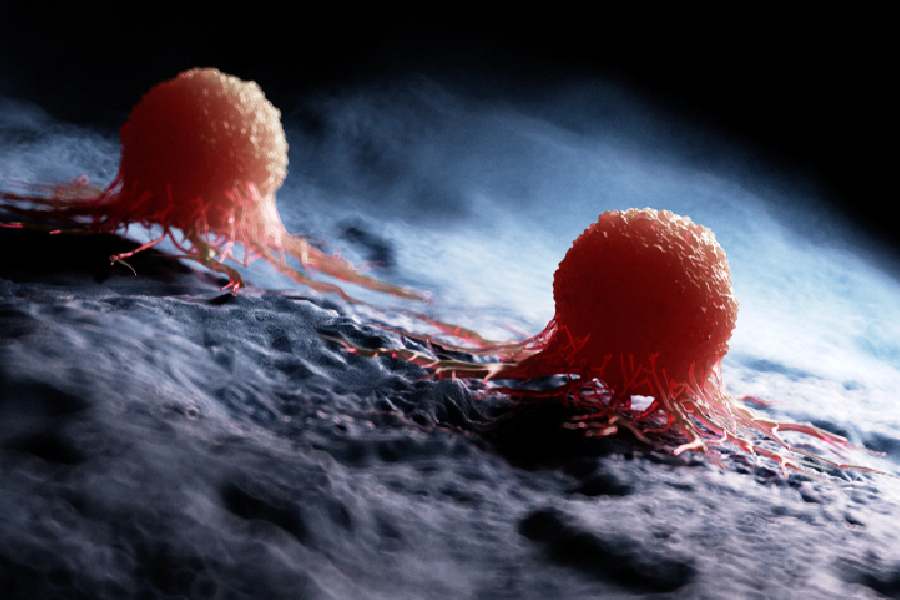 কোন ক্যানসারে বেশি আক্রান্ত হন ভারতীয়রা?