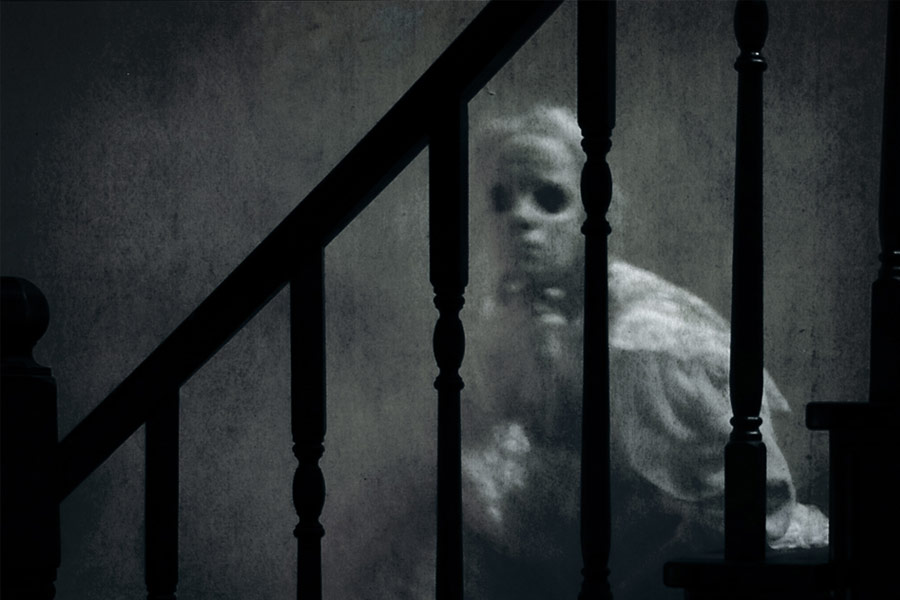 কিন্তু সময় যত এগোতে থাকে, তাঁরা বাড়িতে অন্য ব্যক্তির উপস্থিতি টের পেতে থাকেন। কখনও মনে হত, সিঁড়ি দিয়ে কেউ ক্রমাগত ওঠানামা করে চলেছে। এমনকি, ঘরে সবাই কোনও বিষয় নিয়ে আলোচনা করার সময়েও তাঁরা লক্ষ করতেন, কথার প্রসঙ্গ অনুযায়ী রবার্টের মুখভঙ্গি বদলে যেত।