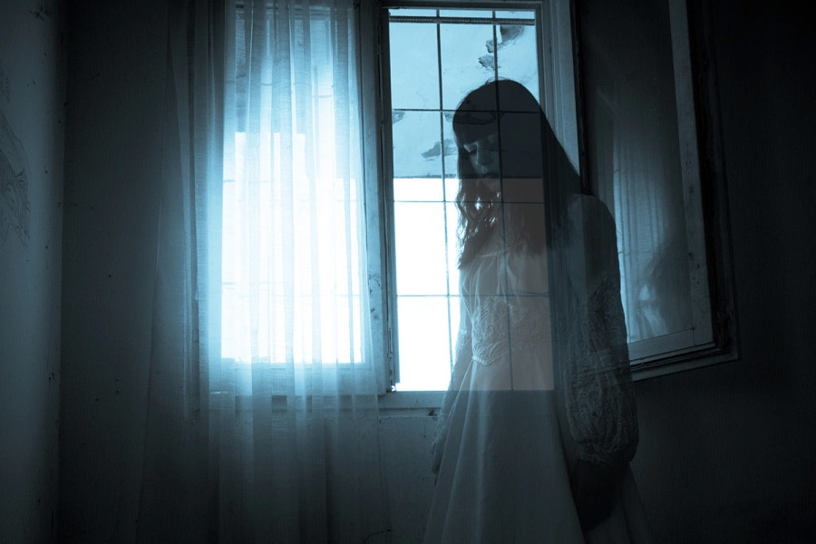 কিন্তু রবার্ট মনে হয় অ্যানের সিদ্ধান্তে খুশি হয়নি। ওই পরিবারের দাবি ছিল, তাঁদের বাড়িতে যখনই কোনও অতিথি আসতেন, ছাদের ঘর থেকে জোরে চলাফেরার শব্দ, অট্টহাসি শোনা যেত। 