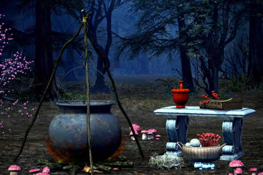 অষ্টাদশ শতক থেকে নিঃসঙ্গ এবং সাধারণত দরিদ্র মহিলাদেরই ‘ডাইনি’ বলে ধরপাকড় করা হত। ক্যাথরিনের মতো প্রভাবশালীদের স্পর্শও করতে পারত না গির্জা বা অন্যান্য শক্তির প্রতিনিধিরা। অষ্টাদশ শতকে ‘যুক্তির যুগ’ শুরু হলেও ইউরোপের বড় বড় শহরগুলিতে গোপনে চলতে থাকে উইচদের ব্যবসা।