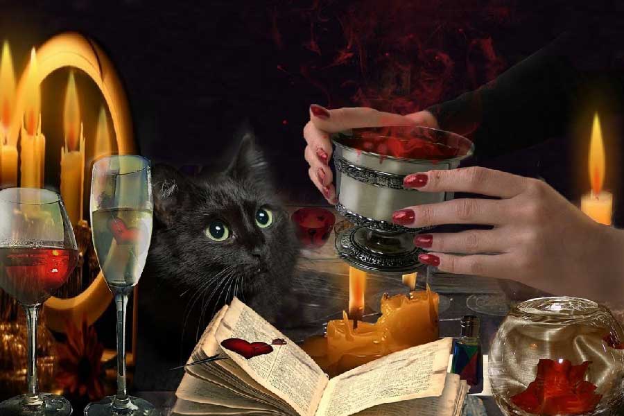 সপ্তদশ শতকের ফ্রান্সে ডাইনিবিদ্যা চর্চাকারীরা জানাতে শুরু করেন যে, তাঁরা ‘লাভ পোশন’ তৈরি করতে পারেন। কাউকে নিজের প্রেমে পড়াতে বাধ্য করে এই জাদু পানীয়— এমন এক ধারণা বাজারে অবশ্য বহু কাল ধরেই চালু ছিল। কাজ করুক বা না-করুক, লাভ পোশন-এর এক গোপন অথচ বেশ বড়সড় বাজার ইউরোপের বিভিন্ন দেশে তৈরি হয়ে যায়। উইচদের হাতেও অর্থ আসতে শুরু করে।