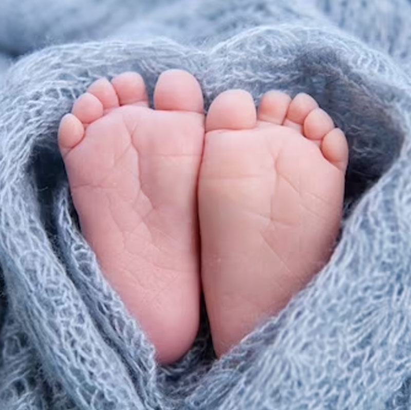 নবজাতকের জন্য নার্সারি গোছানো থেকে শুরু করে বাড়ি সাজানো সবই সারা। এখন শুধু অপেক্ষা নবজাতকের বাড়িতে প্রথম পা রাখার।