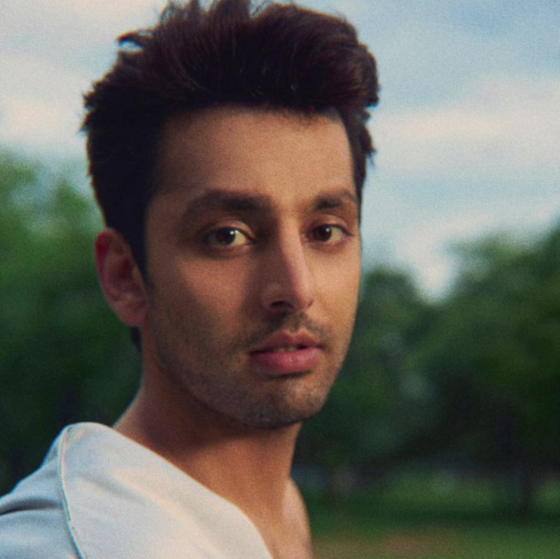 স্কুলের গণ্ডি পেরিয়ে কলেজে ভর্তি হওয়ার সময় মুম্বইয়ে পাড়ি দেন হিমাংশ। কিন্তু চার-পাঁচ মাস একটানা অডিশন দেওয়ার পর কোনও কাজ খুঁজে পাননি তিনি।