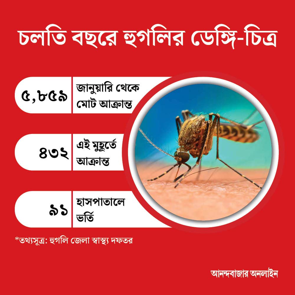 গত ৫ বছরে হুগলি জেলার ডেঙ্গির রেখচিত্র অনুযায়ী, চলতি বছর আক্রান্তের সংখ্যা অনেকটাই বেশি।