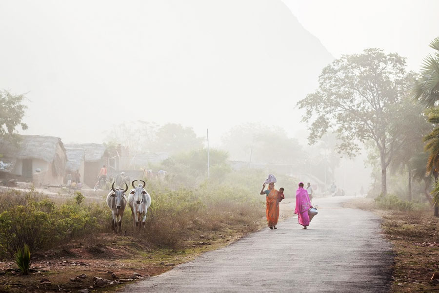 দান্ডিচি বারি গ্রামের বাসিন্দারা সারা বছরই পানীয় জলের সমস্যায় ভুগতে থাকেন। তীব্র জলকষ্টের মধ্যে থাকলেও যাঁরা এই গ্রামে বড় হয়েছেন, তাঁরা এই জীবনের সঙ্গে অভ্যস্ত।