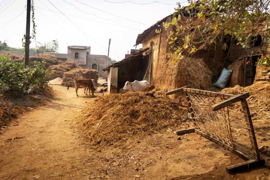 শ্বশুরবা়ড়িতে কিছু দিন কাটানোর পর তাঁরা পানীয় জলের সঙ্কট নিয়ে এতটাই আতঙ্কিত হয়ে পড়েন যে, এই গ্রামে থাকতে চান না। বিয়ে-স্বামী-শ্বশুরবাড়ি সব ফেলে ফিরে যেতে চান বাপের বাড়ি। 