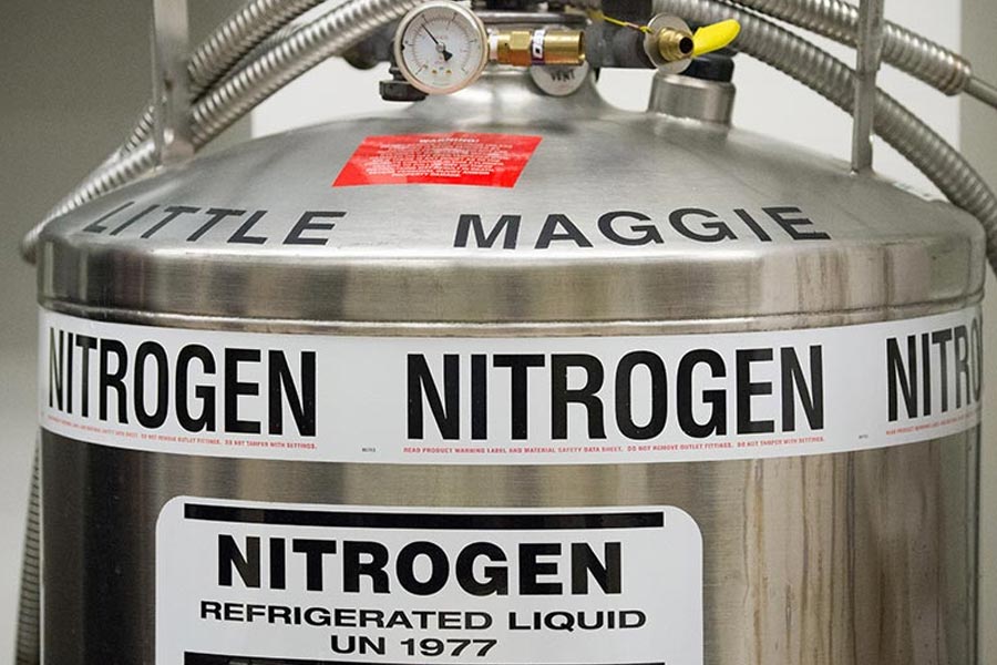 -১৯৬ ডিগ্রি সেলসিয়াস তাপমাত্রায় মৃতদেহটি রাখা হয় বছরের পর বছর। মাঝেমধ্যে তরল নাইট্রোজেনও প্রয়োগ করা হয়। এই সংস্থার সঙ্গে যুক্ত চিকিৎসক, গবেষক এবং কর্মীদের ধারণা, চিকিৎসাবিদ্যা কয়েক বছরের মধ্যে এত উন্নত হবে যে তাঁরা এই মৃতদেহগুলির মধ্যে প্রাণসঞ্চার করতে সফল হবেন।