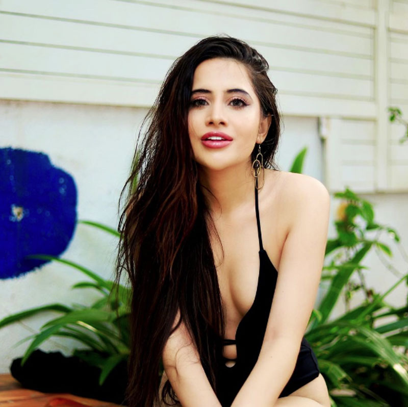 বহু বিতর্কিত বিষয়ে মন্তব্য করেও খবরে এসেছেন তিনি। কিন্তু নিজের পরিবার সম্পর্কে কখনও খোলসা করে কিছুই বলেননি উরফি।