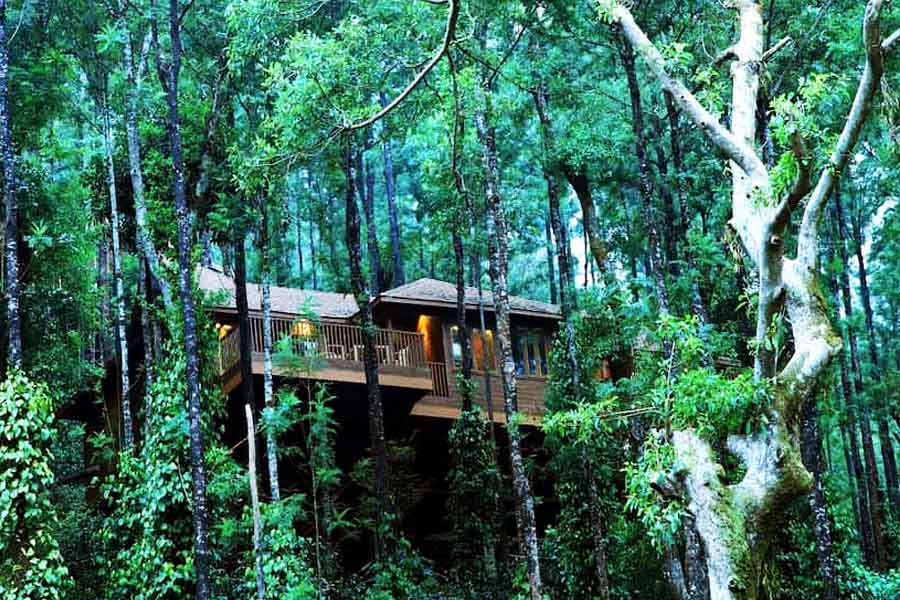 কুর্গের শরীর জুড়ে সবুজের আধিক্য এবং কাবেরীর স্পন্দন। 