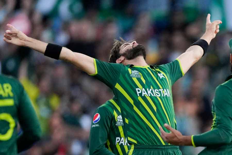 শাহিন আফ্রিদি— পাকিস্তান বোলিংয়ের অন্যতম স্তম্ভ। সেমিফাইনালে নিউজ়িল্যান্ডের ওপেনার ফিন অ্যালেনকে সাজঘরে ফিরিয়ে শুরুতেই ধাক্কা দিয়েছেন। অর্ধশতরানের দোড়গোড়ায় তাঁর বলে বোল্ড হয়ে ফিরেছেন নিউজ়িল্যান্ডের অধিনায়ক কেন উইলিয়ামসন। ৪ ওভারে তিনি মোট ২৪ রান দিয়েছেন, ইকোনমি রেট ৬.০০। নিউজ়িল্যান্ডকে সেমিফাইনালে ১৫২ রানে আটকে রাখতে শাহিনের অবদান গুরুত্বপূর্ণ ছিল। তাঁর প্রাপ্য নম্বর ৮।