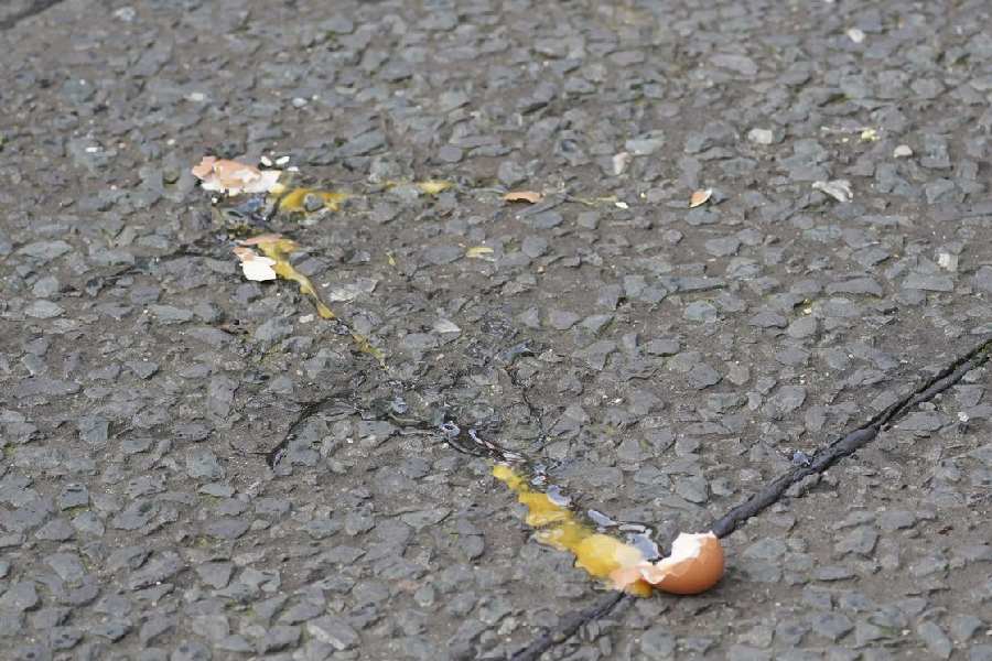 পুলিশ অবশ্য তত ক্ষণে ডিম হামলাকারীকে মাটিতে ফেলে পিছমোড়া করে হাতে হাতকড়া পরিয়ে ফেলেছে। 