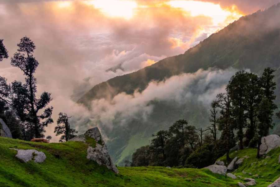 হিমাচল প্রদেশের তেমনই একটি রহস্যে ঘেরা গ্রাম মালানা। এই গ্রাম বাইরের জগতের আঁচ থেকে নিজেদের সরিয়ে রেখেছে। স্কুল, ঘরবাড়ি, রাস্তাঘাট— সব কিছুই আছে, কিন্তু মালানা গ্রামে সম্পূর্ণ আলাদা একটি জগৎ গড়ে উঠেছে।