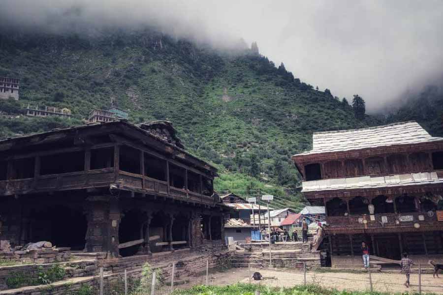 এই গ্রামে বছরের তিন মাস ব্যস্ততা চরমে থাকে। তিন মাস চরস তৈরিতে ব্যস্ত থাকেন গ্রামবাসীরা। বছরের বাকি ৯ মাসের উপার্জন এই তিন মাসেই আয় করে নেওয়ায় ব্যস্ত থাকেন তাঁরা। চরস যে গাছ থেকে তৈরি হয়, বছরে তিন মাস সেই গাছ জন্মায়। তাই এই তিন মাস চরস তৈরির ব্যস্ততা তুঙ্গে থাকে।