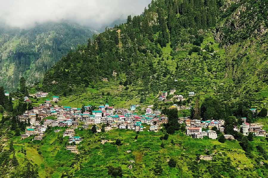 ‘দৈনিক ভাস্কর’-এর এক প্রতিবেদন অনুযায়ী, তিন মাসে মালানা গ্রামে প্রতি দিন ১ কোটি ২০ লক্ষ টাকার চরস তৈরি হয়। সারা দিন চরস তৈরি করে এক এক জন ১০ হাজার টাকা আয় করেন।