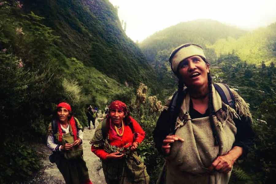 ‘দৈনিক ভাস্কর’-এর ওই প্রতিবেদন অনুযায়ী, এক জন দিনে ৮ ঘণ্টা কাজ করলে ১২ গ্রাম চরস তৈরি করতে পারেন। ১০ গ্রাম চরসের দাম ৮ হাজার টাকা। এক দিনে প্রায় সাড়ে ১৪ কেজি চরস তৈরি হয় গ্রামে। যার দাম এক কোটি টাকার বেশি।