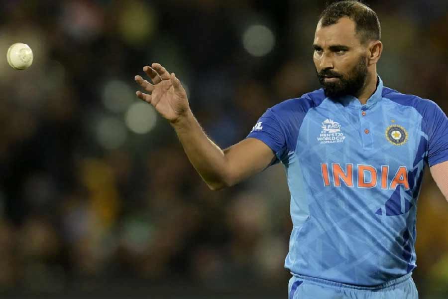 আলিশবা জানিয়েছিলেন, তিনিও আসলে শামির ভক্ত। তাঁর কথায়, “শামির লক্ষ লক্ষ সমর্থকের মধ্যে আমিও এক জন। ইনস্টাগ্রামেও আমি ওকে ফলো করি। ওখান থেকেই শামির সঙ্গে আমার বন্ধুত্ব এবং তার পর আমরা মেসেজ আদানপ্রদান করি।”