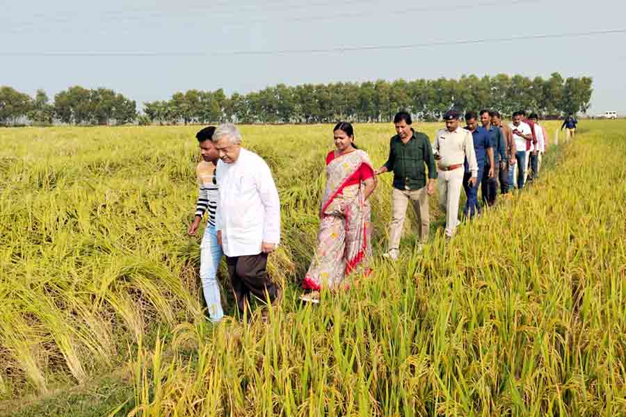 রায়না ২ ব্লকের কামারহাটি এলাকায় খেত পরিদর্শন মন্ত্রীর। নিজস্ব চিত্র