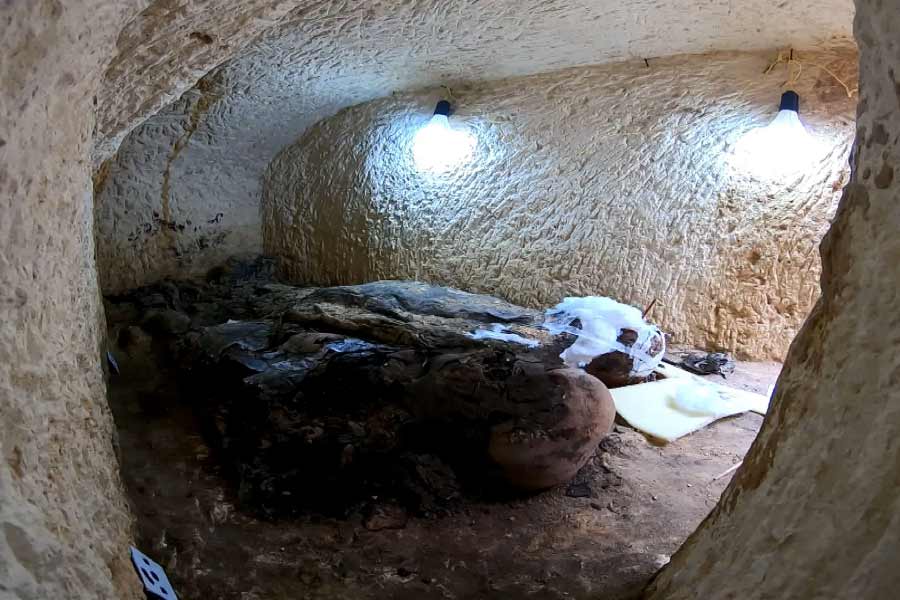 এই তত্ত্বকে অস্বীকার করেছেন ম্যানচেস্টার বিশ্ববিদ্যালয়ের একদল সর্প বিশেষজ্ঞ। তাঁদের জানান, ফলের ঝুড়িতে লুকনো গোখরো সাপের দংশনে রানি ও তাঁর দুই দাসীর মৃত্যু হয়েছিল বলে যে কাহিনি প্রচলিত রয়েছে, তা সম্পূর্ণ অবাস্তব এবং অলীক।