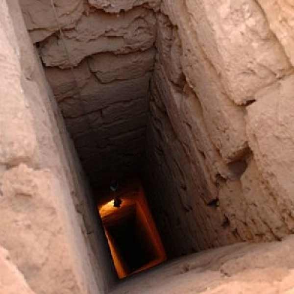 ওই বিশেষজ্ঞদের দাবি, তিন জনকে ছোবল মারতে পারে, এত বড় গোখরো সাপের পক্ষে ওইটুকু ফলের ঝুড়িতে লুকিয়ে থাকা কার্যত অসম্ভব।