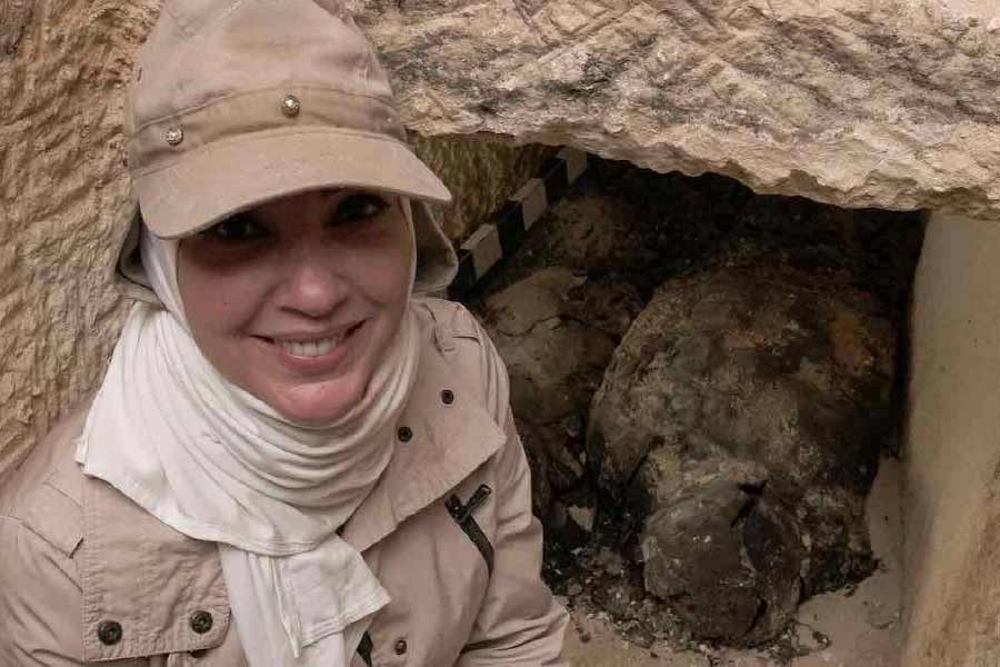 ২০১০ সালে জার্মান ইতিহাসবিদ ক্রিস্টোফার শেফার আবার দাবি করেছেন, হেমলক, বিষাক্ত নীল ফুল এবং আফিমের মিশ্রণ খেয়েই ক্লিওপেট্রার মৃত্যু হয়েছিল।