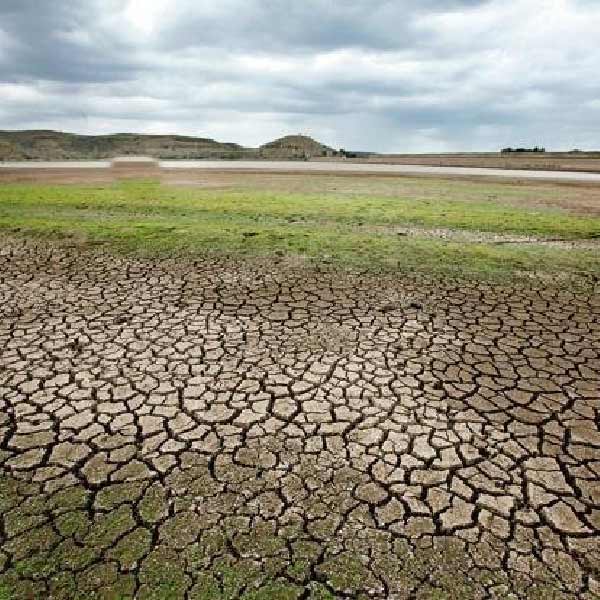 প্রাকৃতিক কারণে ভাস্করের গ্রামে চাষবাস ঠিকঠাক হত না। যে বার বর্ষার মরসুমে তেমন বৃষ্টি হত না, প্রবল সমস্যায় পড়ত ভাস্করের পরিবার। তখন খাবার বলতে মহুয়া ফুল!