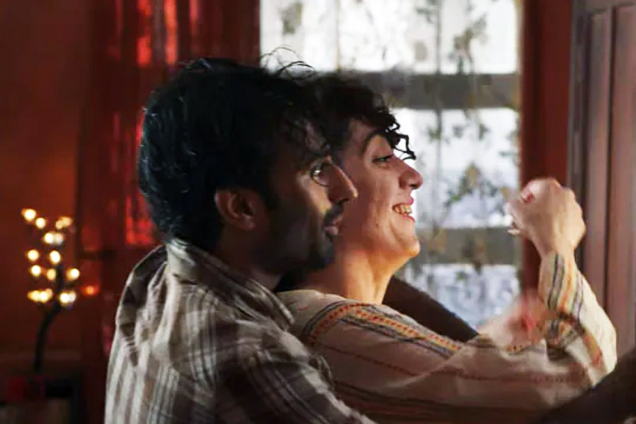 এ হেন পরিবারের ছোট ছেলে হায়দার। তাঁকে নিয়েই ঝামেলার সূত্রপাত। তিনিই এই ছবির নায়ক। তিনি হঠাৎ এক রূপান্তরকামীর প্রেমে পড়েন। হায়দার এবং সেই রূপান্তরকামী বিবার সম্পর্কের সূত্র ধরে ক্রমশ এগোতে থাকে কাহিনি।