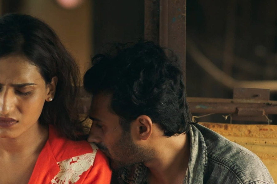 রূপান্তরকামী বিবা নৃত্যশিল্পী। তাঁর সঙ্গে নেপথ্যশিল্পী হিসাবে নাচতেন হায়দার। সেই সূত্রেই দু’জনের আলাপ। বিবার সঙ্গে থাকতে থাকতে তাঁর প্রেমে পড়ে যান হায়দার।