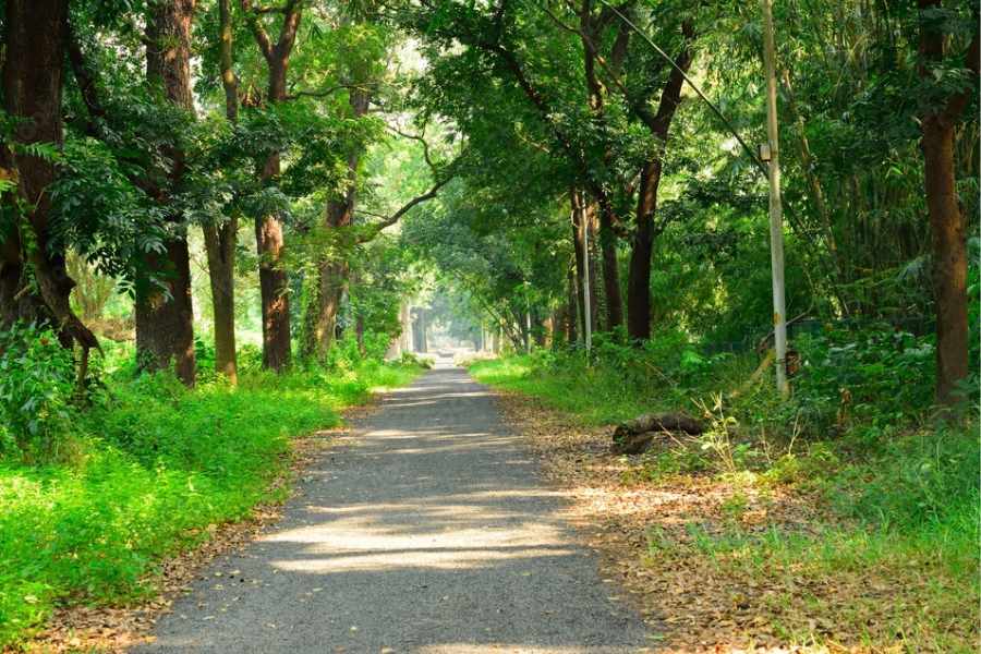 বটানিক্যাল গার্ডেন: চার দিকে সবুজের ছড়াছড়ি। গাঢ় রঙের নানা ধরনের সুন্দর সুন্দর ছবি তুলতে পারেন এখানে। আর হ্যাঁ, শতাব্দীপ্রাচীন বট গাছের সঙ্গে ছবি তুলতে ভুলবেন না যেন! 