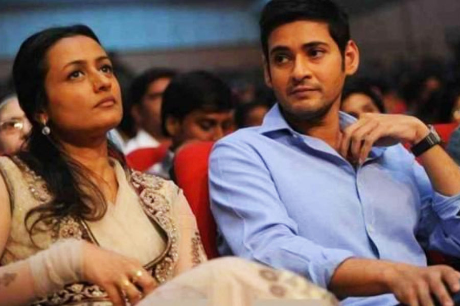 ২০০০ সালে ‘ভামসী’ নামের একটি তেলুগু ছবিতে অভিনয়ের সুযোগ পান নম্রতা। এই ছবিতে দক্ষিণের জনপ্রিয় অভিনেতা মহেশ বাবুর বিপরীতে অভিনয় করেছিলেন তিনি। 