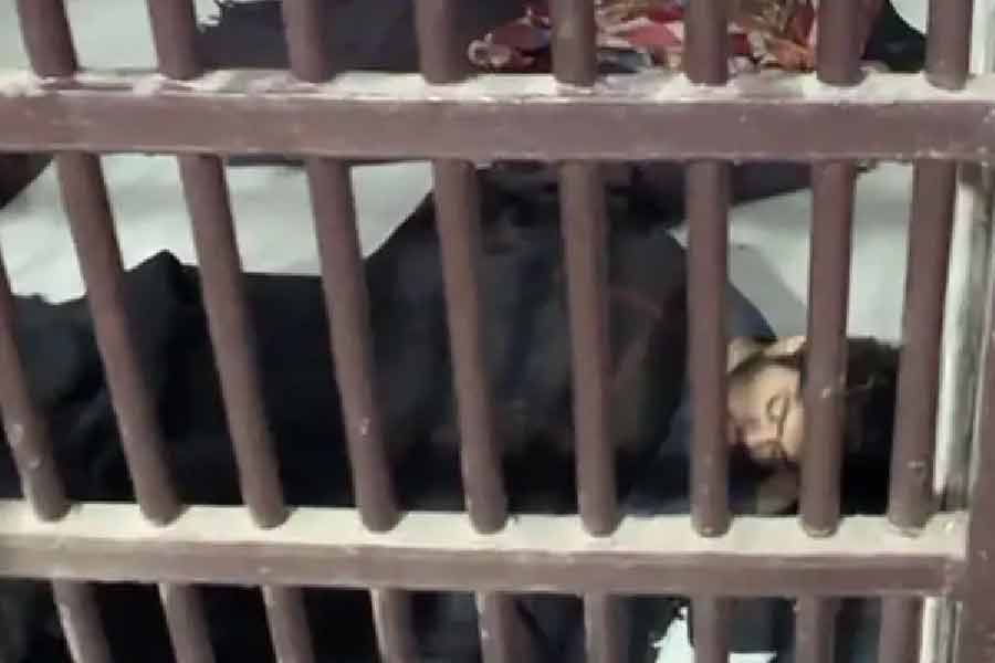 আফতাবকে শনিবার গ্রেফতার করেছে দিল্লি পুলিশ। আপাতত হাজতে দিন কাটছে তাঁর। তাঁকে সর্বক্ষণ সিসিটিভি ক্যামেরার নজরদারিতে রাখা হয়েছে। হাজতে তাঁর কক্ষের বাইরে সর্বক্ষণ থাকছেন দু’জন পুলিশ কর্মী।