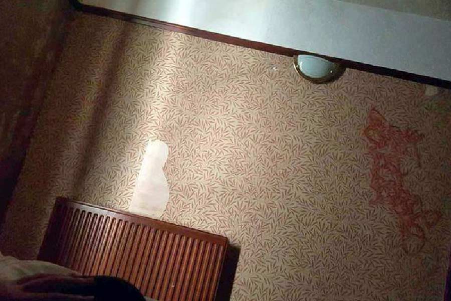 তবে যা দেখে রীতিমতো ভয় পেয়েছিলেন, তা হল বিছানার বেডশিটে রক্তের দাগ। এই ভয়ঙ্কর দৃশ্য দেখে ঘাবড়ে গিয়েছিলেন ওই মহিলা। 