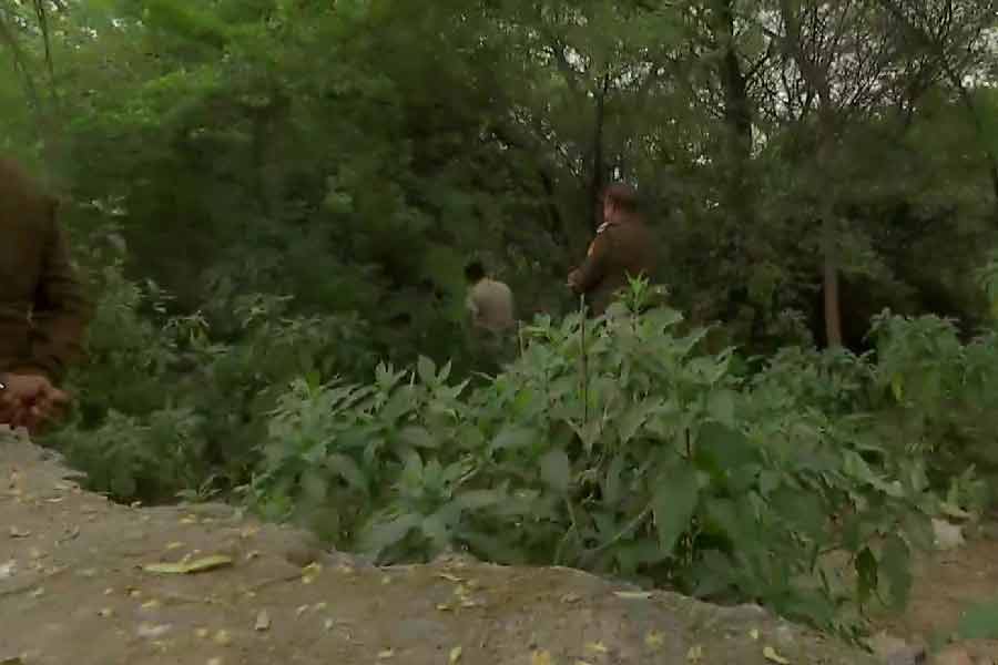 পরে সেই মৃতদেহ ৩৫ টুকরো করে কেটে ফেলেন আফতাব। ১৮ দিন ধরে সেই দেহের টুকরোগুলি ছড়ানো হয়েছিল দিল্লির ছতরপুর ছিটমহল জঙ্গলের বিভিন্ন জায়গায়।   