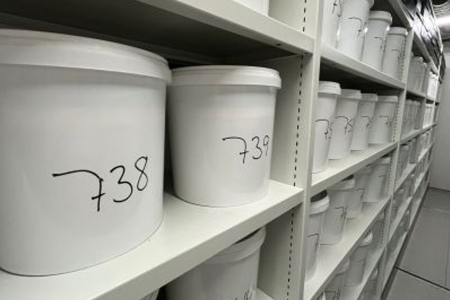 সিএনএন-এর দাবি, ডেনমার্কের ইনস্টিটিউট অফ ব্রেন প্যাথোলজিতে এই কাণ্ডকারখানা চলত। ওই ইনস্টিটিউটটি আর্থাস শহরের রিসকভ সাইকিয়াট্রিক হাসপাতালের সঙ্গে যুক্ত ছিল।