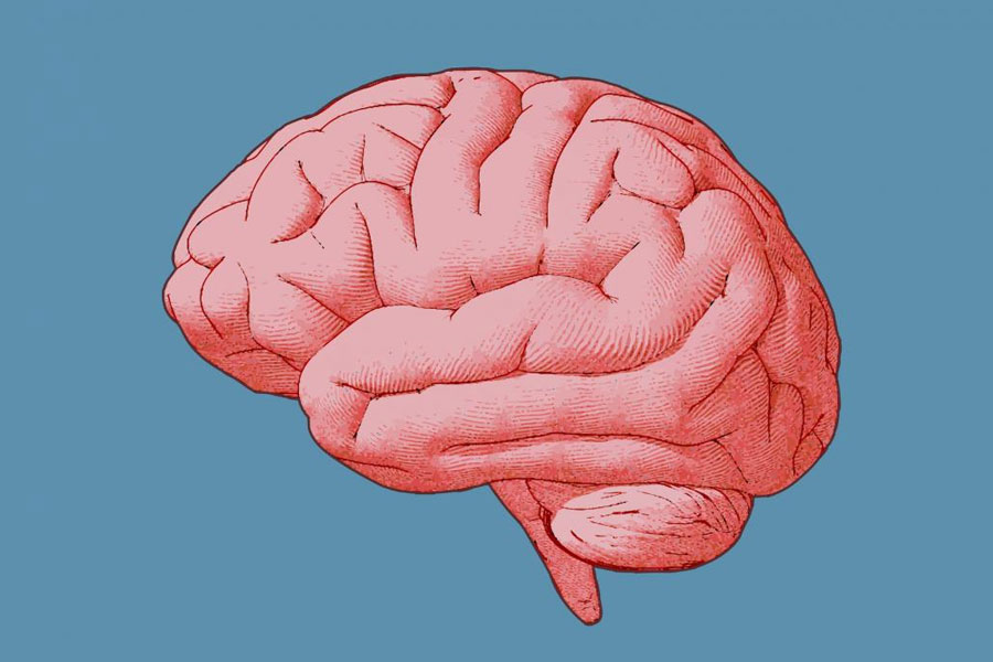 সংবাদমাধ্যম সূত্রে খবর, দীর্ঘ ৩৭ বছর ধরে ৯,৪৭৬টি মস্তিষ্ক গোপনে সংগ্রহ করা হয়েছিল। বিশ্বের কোথাও নাকি মস্তিষ্কের এত বড় সংগ্রহ নেই। এই কাজের জন্য অর্থসাহায্যও পেতেন চিকিৎসকেরা। তবে তাতে ড্যানিশ প্রশাসন জড়িত কি না, তা জানা যায়নি।