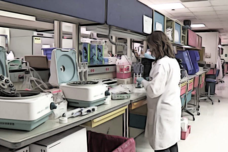 ইনস্টিটিউট থেকে দক্ষিণ ডেনমার্কের একটি বিশ্ববিদ্যালয়ে ওই মস্তিষ্কগুলি নিয়ে যাওয়া হয়েছিল। যদিও ওই বিশ্ববিদ্যালয়ের নাম প্রকাশ্যে আনেনি আমেরিকার সংবাদমাধ্যমটি।