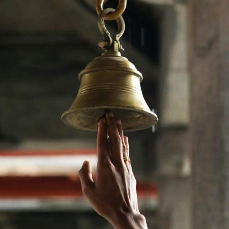 রাজা নিয়মিত মন্দিরে গিয়ে রাস্তার পশুপাখিদের খাবার খাওয়াতেন। এক দিন, সুইটি তাঁকে অনুসরণ করে বাড়ি চলে আসে। তার পরেই তাকে বাড়িতে রেখে দেন রাজা এবং রানি।