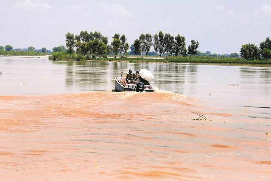 ভারত-পাকিস্তান সীমান্তের গা ঘেঁষা ছোট্ট গ্রাম কালুওয়াড়া। তার তিন দিক ঘিরে আছে বিশাল শতদ্রু নদী। আর এক দিকে কাঁটাতার। বর্ষায় গোটা গ্রাম উপচে পড়ে শতদ্রুর জলে।