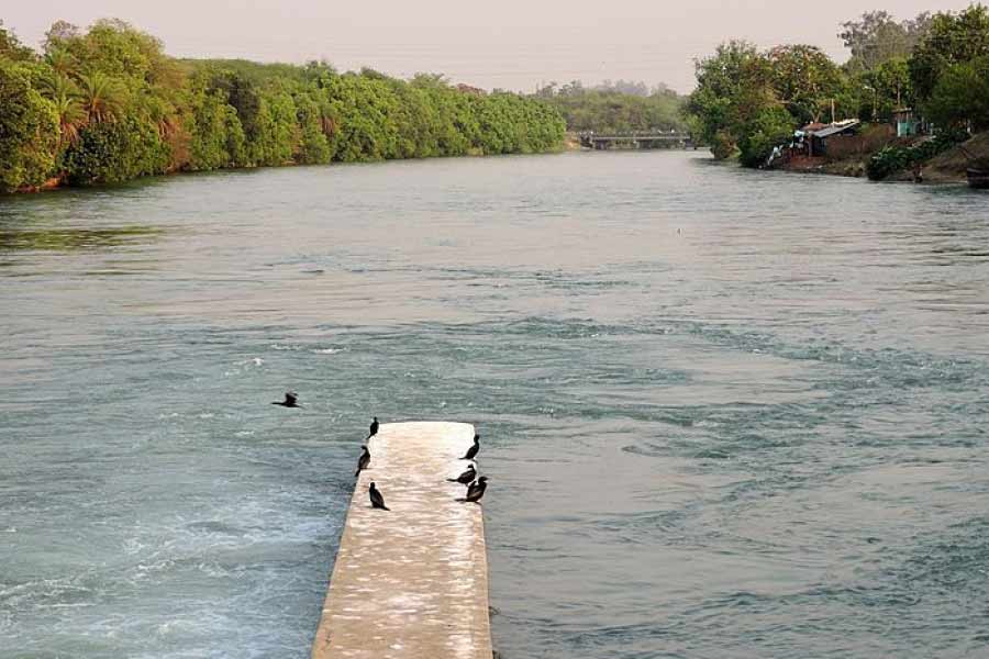 কালুওয়াড়ার বাসিন্দাদের গ্রামের বাইরে যেতে হলে নৌকাই একমাত্র ভরসা। কিরনা আর করিনাও প্রতি দিন সকাল সকাল পিঠে ব্যাগ নিয়ে সেই নৌকায় চেপে বসে। কোনও কোনও দিন মাঝি জোটে। বেশির ভাগ দিনই নৌকা বাইতে হয় নিজেদের। লম্বা শক্ত দড়ি টেনে টেনে নদী পেরিয়ে যায় তারা।