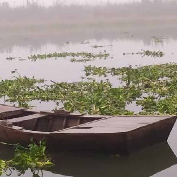 রোজ সকাল ৭টায় বাড়ি থেকে বেরোয় দুই ছাত্রী। ৯টার মধ্যে স্কুলে পৌঁছে যায়। কখনও কখনও ভাগ্য বিরূপ থাকে। নৌকা মেলে না। নদীর অপর পারে নৌকা থাকলে করিনাদের অপেক্ষা করতে হয় গ্রামে দাঁড়িয়ে। ও পার থেকে কেউ নৌকা বেয়ে এলে, তবে স্কুলে যেতে পারে দুই বন্ধু।