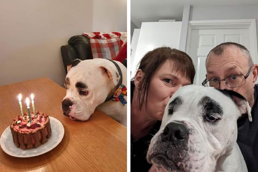 বাড়িতে লোকজন আসলেও খুব খুশি হয় ডেনিস, জানান স্যাম ও ক্রেগ।