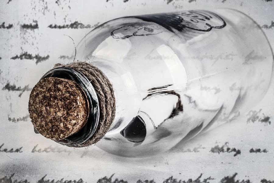 অ্যালান দেখেন ওই মুখবন্ধ বোতলটি ধুলো এবং কাঠগুঁড়োয় মাখা। বোতলের ভিতরে এক টুকরো কাগজ লম্বা করে পাকিয়ে ঢোকানো রয়েছে বলেও লক্ষ করেন অ্যালান।